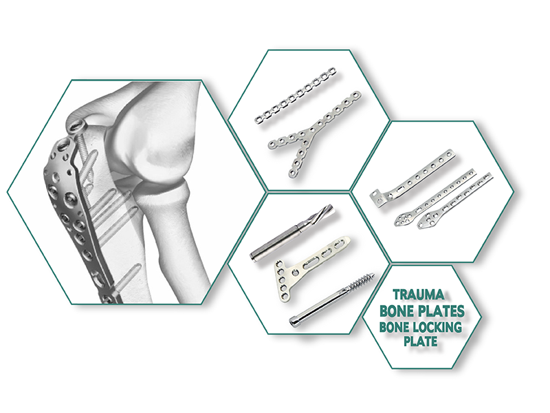 Trauma Implants Manufacturers In Egypt